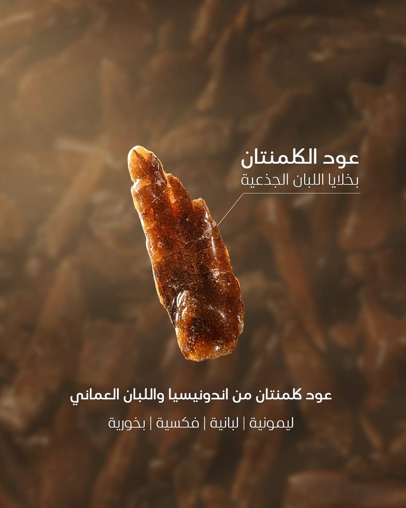 Kalimantan Oud with Frankincense Stem Cells