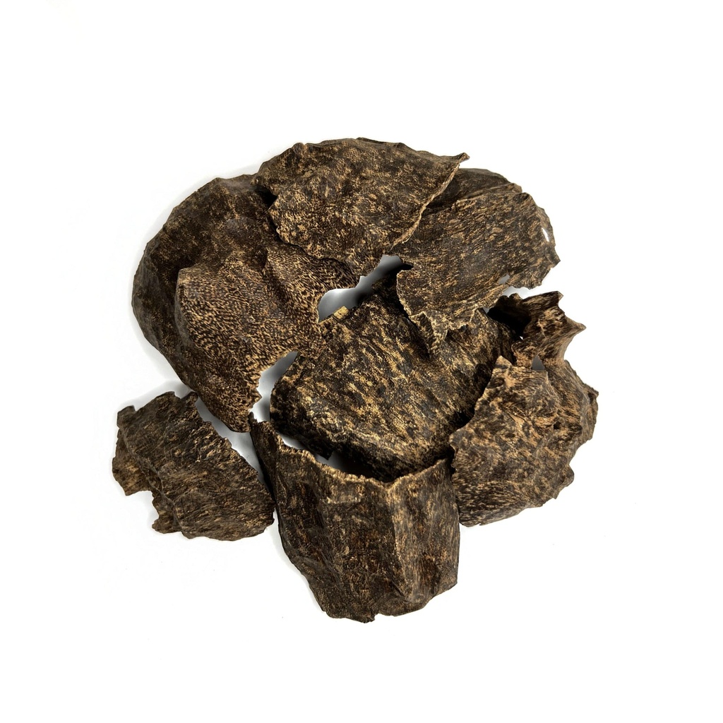 Vietnamese Tchar Oud