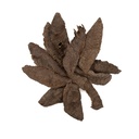 Indian Oud Tchar (Half Moon)